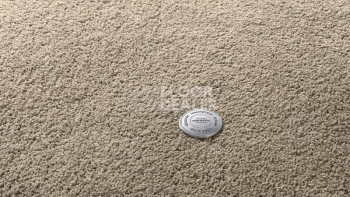 Ковролин Vorwerk Superior 1065/Viola Vorwerk 8h50 фото 1 | FLOORDEALER